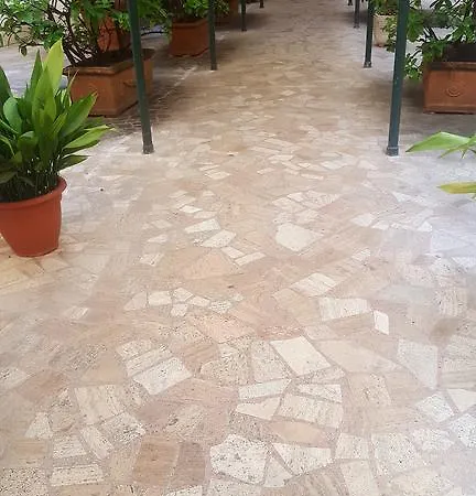 로즈 안티케 바티칸 로마