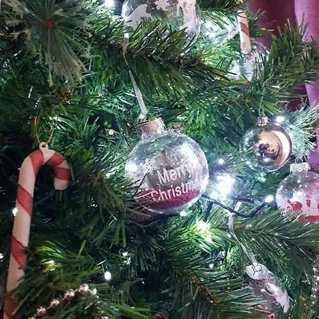 로즈 안티케 바티칸 B&B 4*