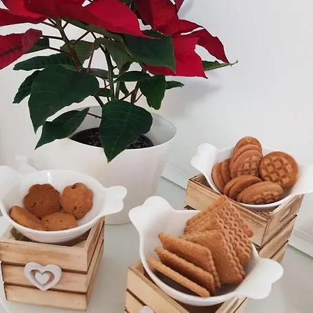 로즈 안티케 바티칸